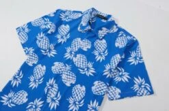 Blue Pineapple Pattern Shirt | Taehyung - BTS -Diva s Closet Blue Pineapple Pattern Shirt Taehyung BTS 5 600x395 1