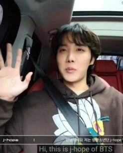 Brown Hornet Hoodie | J-Hope - BTS -Diva s Closet Brown Hornet Hoodie J Hope BTS 4 600x750 1