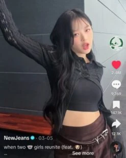 Brown Mermaid Midi Skirt | Hanni - NewJeans -Diva s Closet Brown Mermaid Midi Skirt Hanni NewJeans Idol 1 600x750 1