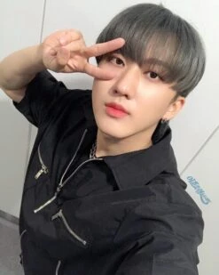 Black Zipper Polo Shirt | Changbin - Stray Kids -Diva s Closet Changbin Stray Kids Black Zipper Shirt 1 600x750 1