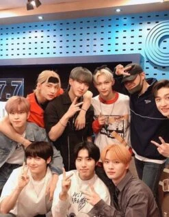 Black Zipper Polo Shirt | Changbin - Stray Kids -Diva s Closet Changbin Stray Kids Black Zipper Shirt 2 e1643800664990 600x770 1