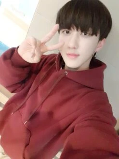 Wine Red Drawstring Hoodie | Changbin - Stray Kids -Diva s Closet Changbin Stray Kids Wine Red Drawstring Hoodie 6 600x800 1