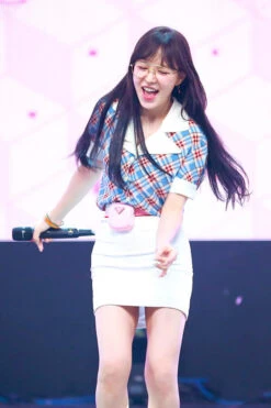 Blue Collared Check Print Blouse | Wendy - Red Velvet -Diva s Closet Collared Check Print Shirt Wendy Red Velvet 01 600x900 1