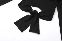 Black Hollow Long Sleeve Crop Top | Lisa - BlackPink -Diva s Closet Lisa BlackPink Black Hollow Long Sleeve Crop Top 5 600x396 1