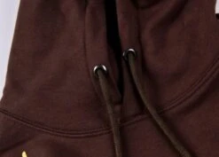 Brown In The Highest Room Hoodie | Lisa - BlackPink -Diva s Closet Lisa In The Highest Room Brown Hoodie 3 1 600x429 1