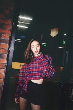Red Plaid Crop Top | Lisa - BlackPink