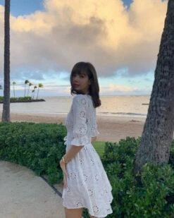 White Embroidery V-Neck Dress | Lisa - BlackPink -Diva s Closet Lisa White Embroidery V Neck Dress Inspiration 2 600x750 1