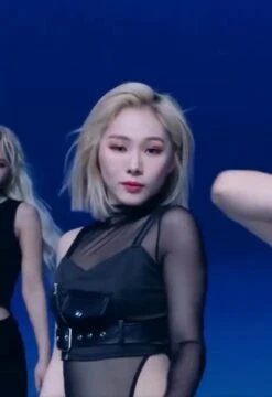 Black Belted Crop Top | Mia - Everglow 35 Black Belted Crop Top | Mia - Everglow -Diva s Closet Mia Everglow Black Belted Crop Top 2