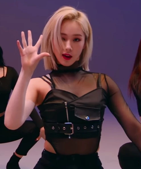 Black Belted Crop Top | Mia - Everglow 18 Black Belted Crop Top | Mia - Everglow - Image 16