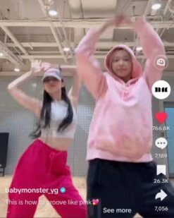 Pink Comfy Sweatpants | Asa - BabyMonster -Diva s Closet Pink Comfy Sweatpants Asa BabyMonster Idol 2 600x750 1