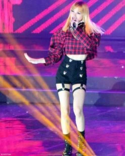 Red Plaid Crop Top | Lisa - BlackPink 17 Red Plaid Crop Top | Lisa - BlackPink -Diva s Closet Red Plaid Shirt BlackPink Lisa Stage Fashion