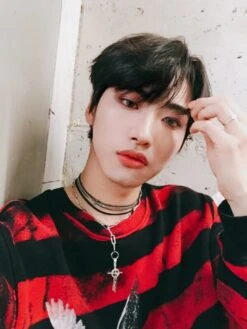 Red And Black Striped Dove Sweatshirt | Seonghwa - ATEEZ -Diva s Closet Seonghwa ATEEZ Red And Black Striped Dove Sweatshirt 14 600x800 1