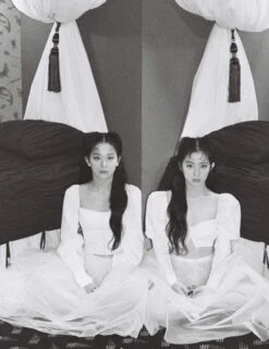 White Puffed Sleeve Crop Top | Seulgi - Red Velvet -Diva s Closet Seulgi Red Velvet White Puffed Sleeve Top 2 600x779 1