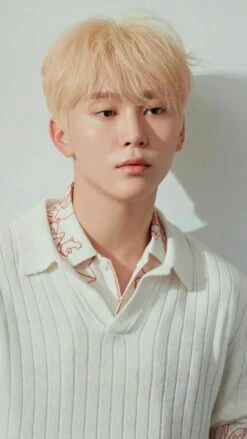 White Knit Short Sleeved Polo Shirt | Seungkwan - Seventeen -Diva s Closet Seungkwan White Knit Short Sleeved Polo Shirt Inspiration 1 600x1066 1