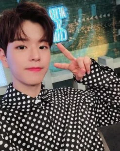 Polka Dot Long Sleeve Shirt | Seungmin - Stray Kids -Diva s Closet Seungmin Polka Dot Long Sleeve Shirt Inspiration
