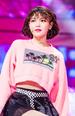 Pink Mind Detergent Cropped Sweatshirt | Sooyoung - Girls Generation -Diva s Closet Sooyoung Mind Detergent Cropped Sweatshirt Inspiration 1 600x936 1