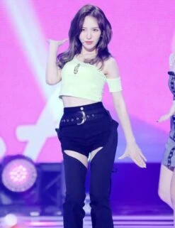 Green Flame Cropped Top| Wendy - Red Velvet -Diva s Closet Wendy Red Velvet Green Flame Cropped Top 2 600x779 1